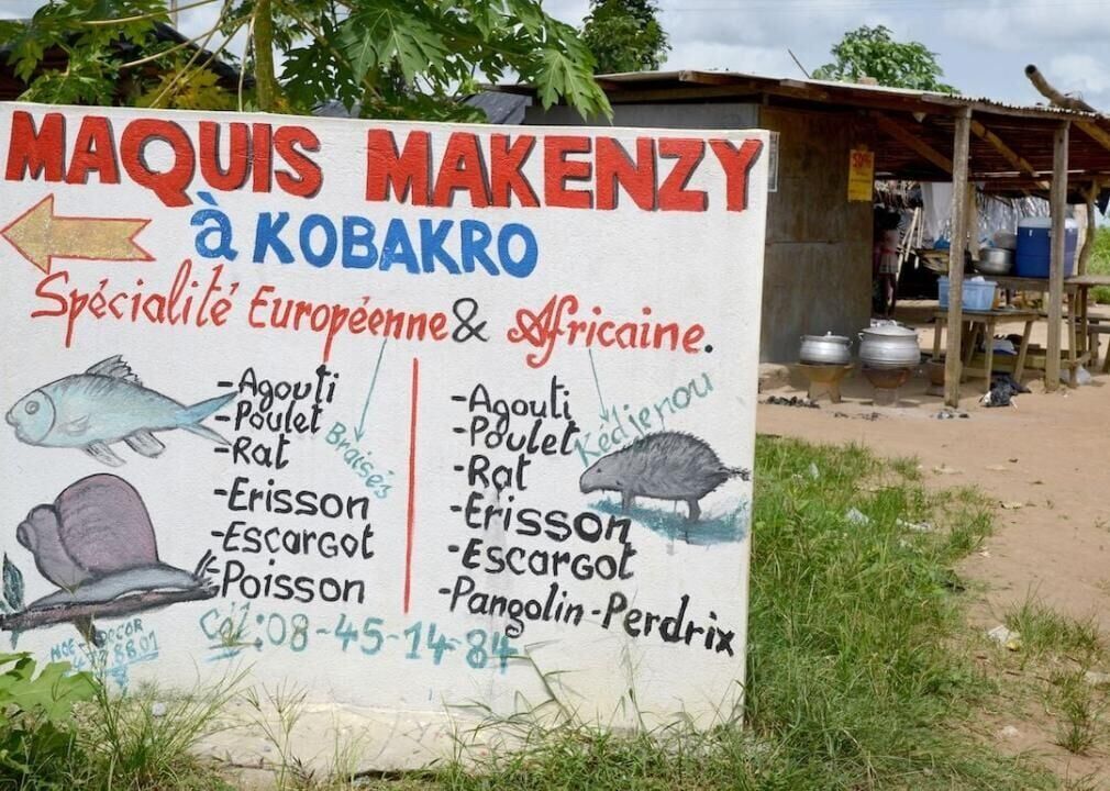 Bushmeat